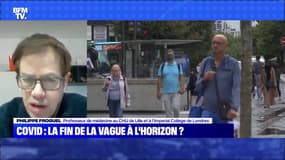 Covid : la fin de la vague à l'horizon ? - 16/01