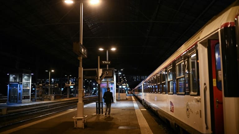Un train de nuit Paris-Nice en gare de Lyon Perrache, le 20 mai 2021. (Photo d'illustration)