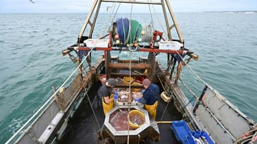 Un bateau de pêche au large des cotes du sud-est de l'Angleterre, le 12 octobre 2020