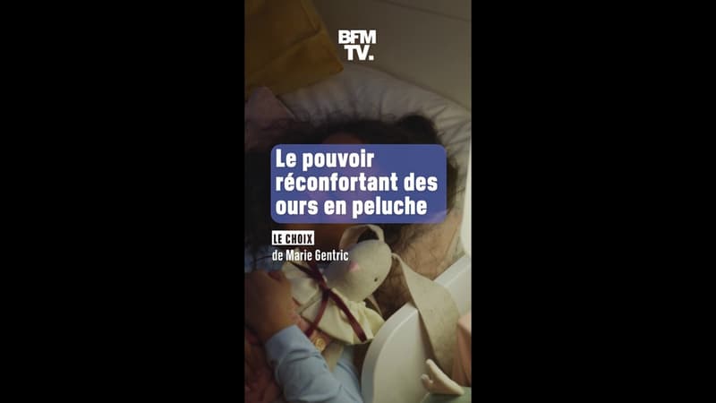 Les ours en peluche ont un pouvoir, celui de (tous) nous réconforter