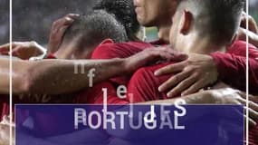 Coupe du monde : Goldman Sachs croit en les chances de la France (mais voit le Brésil sacré)