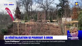 Métropole de Lyon: la végétalisation se poursuit à Bron