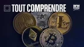 Contrairement aux croyances, la plupart des cryptomonnaies sont dites "pseudonymes". 