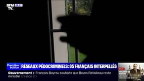 95 français ont été interpellés, soupçonnés d’appartenir à un réseau pédocriminel international