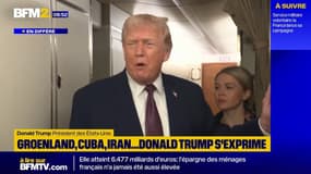 "Immunité absolue" pour l’agent ICE qui a tué Renee Nicole Good: Donald Trump "laisse les gens définir" le terme