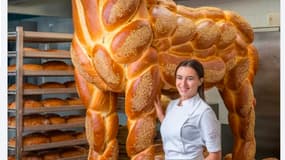Le Challah Horse. 
