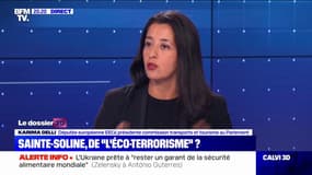 Karima Delli: "L'écologie est forcément radicale, parce qu'elle veut un autre modèle"