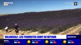 Alpes-de-Haute-Provence : Les touristes de retour sur le plateau de Valensole