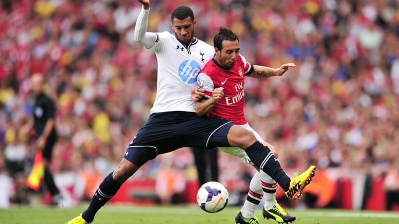 Etienne Capoue Etienne Capoue