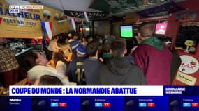 "Ça fait très très mal": en Normandie, les fans des Bleus sont abattus par cette défaite "rageante"
