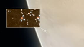 Photographie de Vénus datée du 14 septembre 2020 prise par l'Observatoire européen austral.
