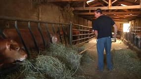 Circuit court: des éleveurs privilégient la vente directe aux consommateurs