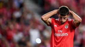 Ruben Dias (Benfica)