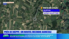 Seine-Maritime: un nouvel hangar agricole prend feu, 30 bovins meurent