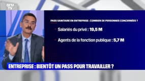 Entreprise : bientôt un pass pour travailler ? - 20/12