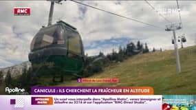 Canicule : ils cherchent la fraîcheur en altitude