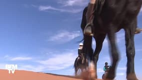 Ils font un raid à cheval dans le désert marocain