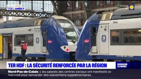 Hauts-de-France: la région renforce la sécurité dans les TER et les gares