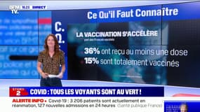 Incidence, cas positifs, réanimation... Tous les voyants du Covid-19 sont au vert en France