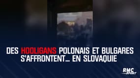 Des hooligans polonais et bulgares s'affrontent... en Slovaquie