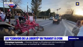 Les "Convois de la liberté" en transit à Lyon