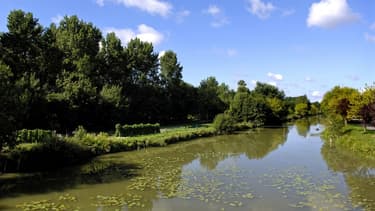 Bords de la Boutonne, en Charentes-Maritimes