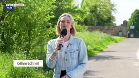 Habitat en Alsace : best-of 2024-2025