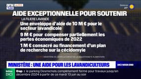 Agriculture: une aide de 10 millions d'euros débloquée pour les lavandiculteurs