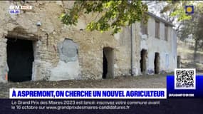 Aspremont: 11 candidats à la reprise d'un terrain agricole