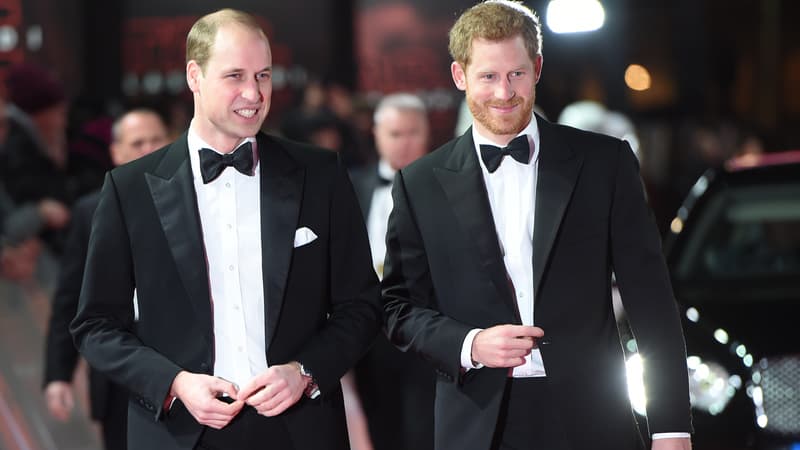 Le prince William  et le prince Harry à Londres le 12 décembre 2017 