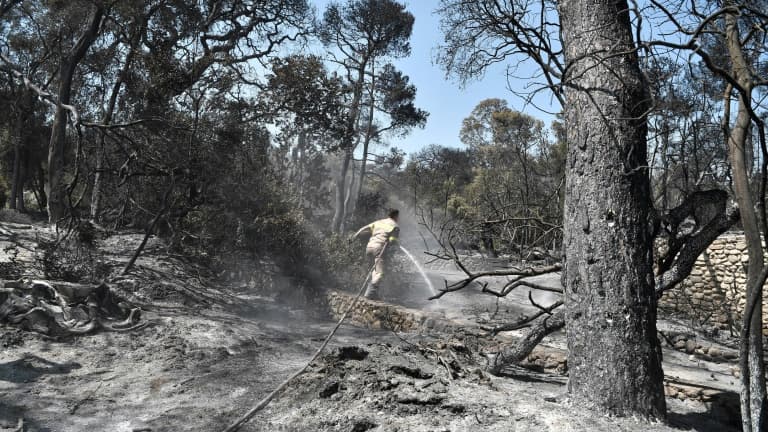 Un pompier s'active dans une zone brûlée d'un Club Méditerranée abandonné à Lambiri, à l'est de Patras (Grèce), le 1er août 2021