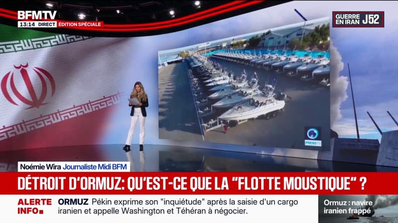 Guerre au Moyen-Orient: qu’est-ce que la "flotte moustique", l’atout maritime de l’Iran?