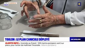 Var: le plan canicule déployé à Toulon