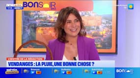 Hautes-Alpes: quel impact de la pluie sur les vendanges?