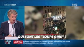 Nicolas Poincaré : Qui sont les "Loups gris" ? - 02/11