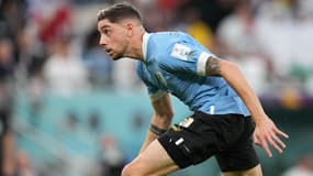 Federico Valverde