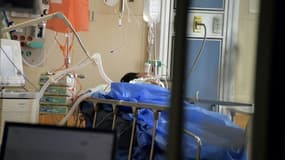 Un patient souffrant du Covid-19 dans une unité de soins intensifs de l'hôpital Andrade Marin à Quito, le 17 juin 2020
