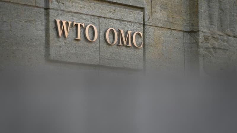 Droits de douane sur l'acier et l'aluminium: Washington fait appel du verdict de l'OMC