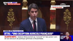 Gabriel Attal: "Personne ne demande un droit à la paresse dans notre pays"