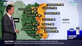Météo Alsace: des brouillards avant l'arrivée d'éclaircies ce jeudi