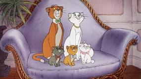 Les Aristochats