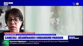 Paris: des aménagements encore "insuffisants" pour lutter contre le réchauffement climatique