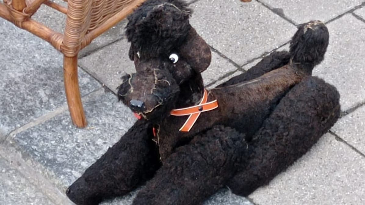 La poupée d'un caniche noir. 