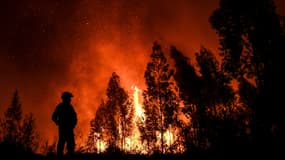 Des pompiers luttant contre les flammes au Portugal le 21 juillet. 