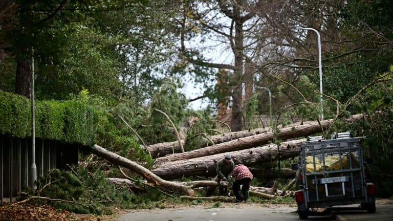 Des habitants découpent à la tronçonneuse des arbres tombés en travers d'une route pendant la tempête Arwen, le 27 novembre 2021 à Birkenhead, dans le nord-ouest du Royaume-Uni