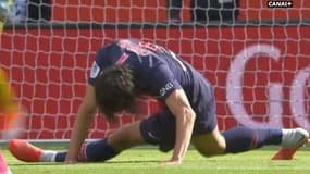 Cavani