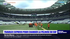 Finale de la Ligue des champions: travaux express pour changer la pelouse du Stade de France