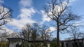 L'entrée du zoo de Berlin en Allemagne (Photo d'illustration).