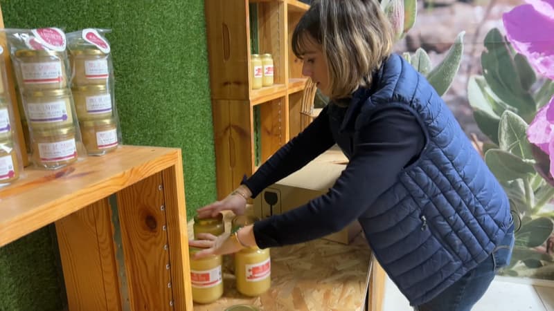 Bormes-les-Mimosas: un couple d'apiculteurs va présenter ses miels au Salon de l'Agriculture pour la première fois