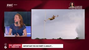 Les tendances GG : Important feu de forêt à Anglet - 31/07